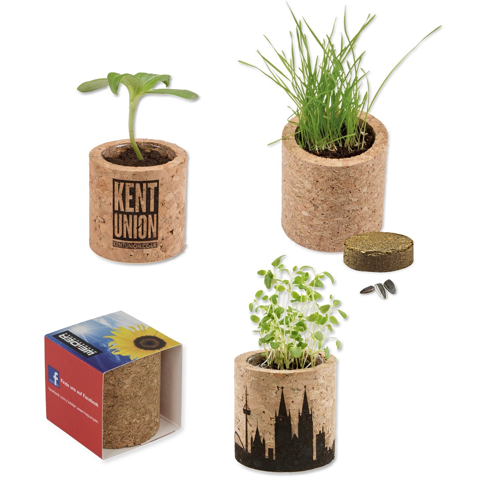 Cork plant set round | Eco gift